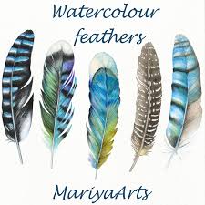 Birds Of A Feather 2020 Itv Watercolor Feathers Clipart Hand Painted Watercolour Feather Clip Art Bird Feathers Tribal American Native R Watercolor Feather Feather Painting Clip Art