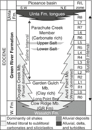 It is also called a grand mal seizure. Sedimentology Of The World Class Organic Rich Lacustrine System Piceance Basin Colorado Springerlink