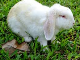 Uncovered: The Shocking Reality Of The Nicky Naple Leaks - Truth or Fiction