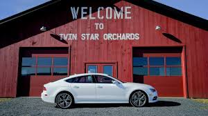 Image result for Garnet Red 2016 Q7