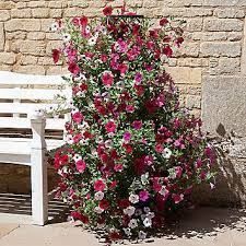 Tower Pot Trellis By Kaleidoscope Kaleidoscope Pot Trellis Trellis Garden Accessories