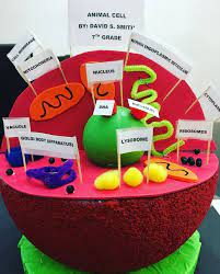 For each cell component (nucleus, lysosome, mitochondria, etc.), create a toothpick flag by gluing a small. Animal Cell Model Labeled Project Ideas Middle School How To Make An Animal Cell Model Out Of Styrofoam A Animal Cell Animal Cells Model Animal Cell Project