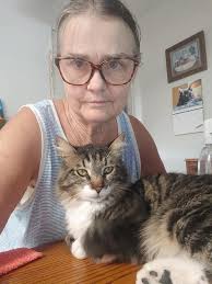 Cat living in tree between Mountain Gate and Upper Clarkdale