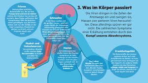 Warum Haben Wir Schnupfen Stern De