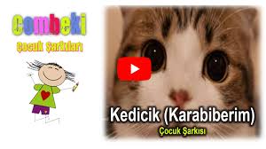 Kedicik Karabiberim Cocuk Sarkisi Sarki Sozleri Dinle Indir Kedicik Sarkilar Tintin