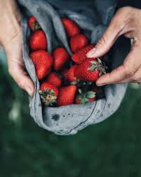 Moody Strawberry Shot Fruit Photography Beautiful Food Food Photography