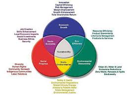 Stability Intersections Economic Efficiency Triple Bottom Line Business Ethics