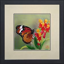 Artworka Com Print Domain Name For Sale Butterfly Painting Silk Art Art