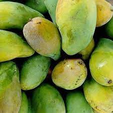 Buah mangga harum manis adalah sejenis buah mangga yang sangat terkenal di negeri perlis. Buah Mangga Harum Manis 1kg Pasar Online Dari Fast Courier