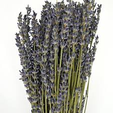Dried flowers └ dried botanicals & potpourri └ floral crafts └ crafts all categories food & drinks antiques art baby books, comics & magazines business cameras cars, bikes, boats clothing, shoes & accessories coins collectables computers/tablets & networking crafts dolls, bears electronics. Dried Lavender Bulk Bunches L Fiftyflowers Com