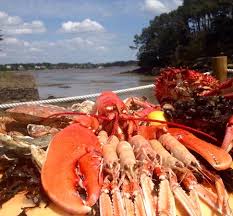 Degustation De Fruits De Mer Pieds Dans L Eau De Savoureuses Huitres Du Golfe Du Morbihan Lan Photo De Ets Gouguec Larmor Baden Tripadvisor