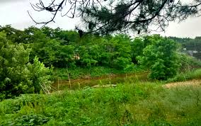 It also offers air conditioner a rear deck that hangs over the river. Arkansas Cheap Property Near Water River Lake Mississippi County Arkansas Land For Sale By Owner Homestead Crossing Land Arkansas Land Homesteading Cheap Land