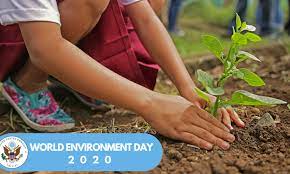 World environment day has been celebrated every 5 june since 1974. World Environment Day 2020 U S Embassy In Georgia