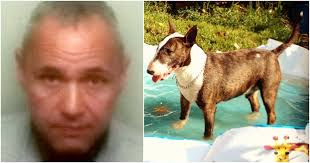 Dog owner jailed for attacking man who sliced his dog in half with samurai  sword