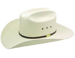 Stetson Http Www Elizabethagarciaauthor Com The Reluctant Cowboy Html Garciabooks Hats For Men Cowboy Hats Stetson Hat