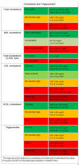 Blood Cholesterol Test