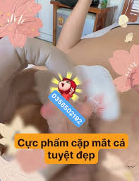 Găm bi ở Hải Phòng - Shop Sìn Sú Hải Phòng