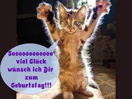 Pics 4 gb gästebuchbilder, gb pics, gb bilder geburtstag. Wir Wunschen Dir Alles Gute Zum Burzeltag Alles Gute Zum Geburtstag Tiere Alles Gute Geburtstag Lustige Tiere