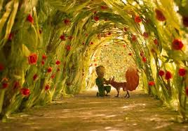 James franco as the fox; The Little Prince Review The Little Prince Movie The Little Prince Little Prince Fox