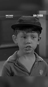 The Andy Griffith Show