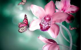 Seamless cute vintage tiny flower pattern on grey background. 46 Free Desktop Wallpaper Butterflies Flowers On Wallpapersafari