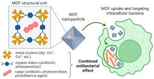 Image result for Intracellular Bacteria