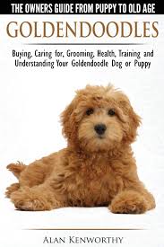 Are you a veterinarian or veterinary student? Goldendoodles The Owners Guide From Puppy To Old Age Choosing Caring For Grooming Health Training And Understanding Your Goldendoodle Dog Kenworthy Alan 9781910677001 Amazon Com Books
