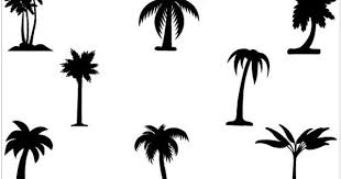 Black And White Outline Coconut Tree Clip Art Palm Tree Clip Art Pack Tree Silhouette Palm Tree Silhouette Palm Tree Vector