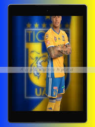 3264 x 2448 jpeg 2139 кб. Tigres Uanl Wallpapers Download Apk Free For Android Apktume Com