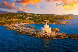 Image result for Faroa salutaris