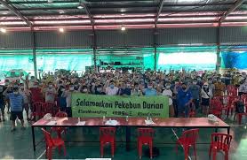 Sekiranya mahkamah berpuas hati dengan penjelasan penjamin, mahkamah akan tangguhkan kes sehingga okt hadir ke mahkamah. Mahkamah Dimaklum Status Pekebun Haram Durian Di Raub Sebagai Penceroboh