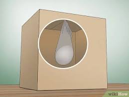 This way each side has 4 straws sticking out. How To Drop An Egg Without It Breaking Wikihow