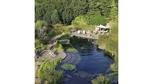 10 Raisons De Choisir Une Piscine Naturelle