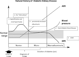 Novel therapies for diabetic kidney disease. Blood Pressure Reduction And Raas Inhibition In Diabetic Kidney Disease Therapeutic Potentials And Limitations Springerlink