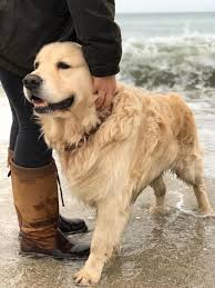 Bailey today 😁 🏴󠁧󠁢󠁳󠁣󠁴󠁿