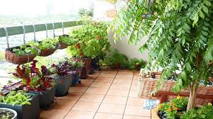 Get ideas for creating an amazing garden, including planting tips & gardening trends. Balcony Garden Ideas Home Facebook