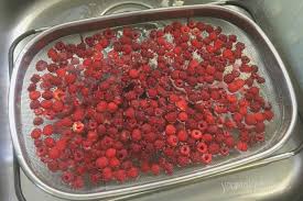 Jun 21, 2007 · jun 21, 2007 10:00 am 69. How To Clean And Freeze Raspberries You Make It Simple