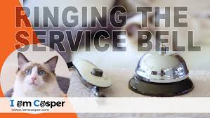 Training your cat to do tricks and help with clicker training: How To Teach Your Cat To Ring A Service Bell Iamcasper