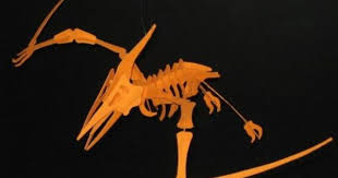 Pterosaur Skeleton Papercraft Paper Models Paper Crafts Paper Animals