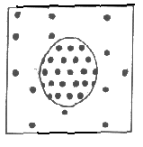 A cell placed in a solution with higher salt concentration, on the other hand, tends in a hypotonic environment, cells tend to swell due to intake of water. Https Www Neshaminy Org Cms Lib6 Pa01000466 Centricity Domain 1560 Cellular 20transport 20review Key Pdf