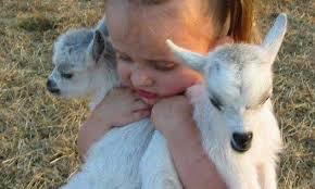 Rebyatki Eto Truly Me Animals Friends Animals Animal Hugs