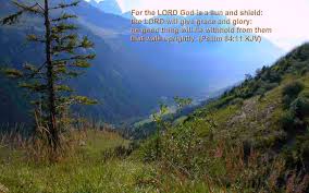 Nature background photo with water falls and green trees. Wallpapers Bible Verses Wallpaper Cave