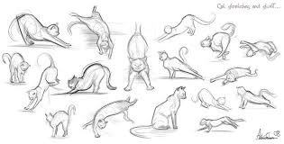 Gallery For Cat Sketches Cat Sketch Cats Illustration Cat Reference