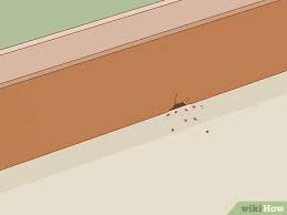 3 Ways To Get Rid Of Mice Wikihow
