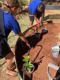 Marble Bar Primary School...