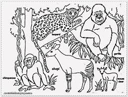 These animals come from all over the world and give us the chance to see them and learn about where they come from. Jungle Animal Coloring Pages Realistic Jungle Animal Coloring Pages For Jungle Printable Coloring Entitlementtrap Com Jungle Coloring Pages Animal Coloring Page Animal Coloring Pages