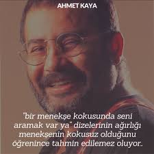 Sen Ne Guzel Adamdin Nur Icinde Yat Nez Ilham Verici Alintilar Ozlu Sozler Guzel Soz