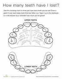 Tooth Chart Worksheet Education Com Tooth Chart 1st Grade Science Dental Kids