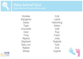 Read on for some hilarious trivia questions that will make your brain and your funny bone work overtime. Baby Shower Baby Animal Quiz Bub Hub