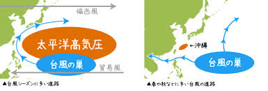Maybe you would like to learn more about one of these? æ²–ç¸„ã®æ°—å€™ã«ã¤ã„ã¦ æ²–ç¸„æ—…æƒ…